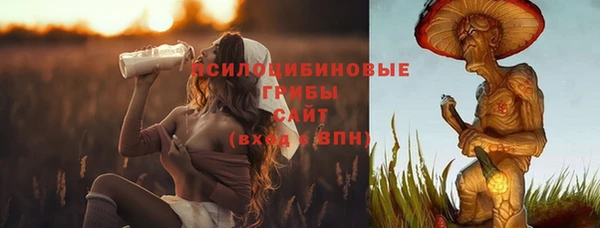 mix Алексин