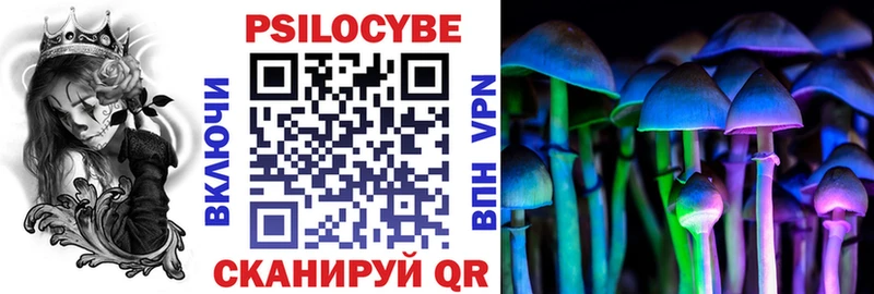 blacksprut маркетплейс  Рыбное  Галлюциногенные грибы Psilocybe 